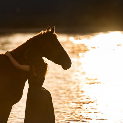 Beispielfoto der Kategorie Pferde